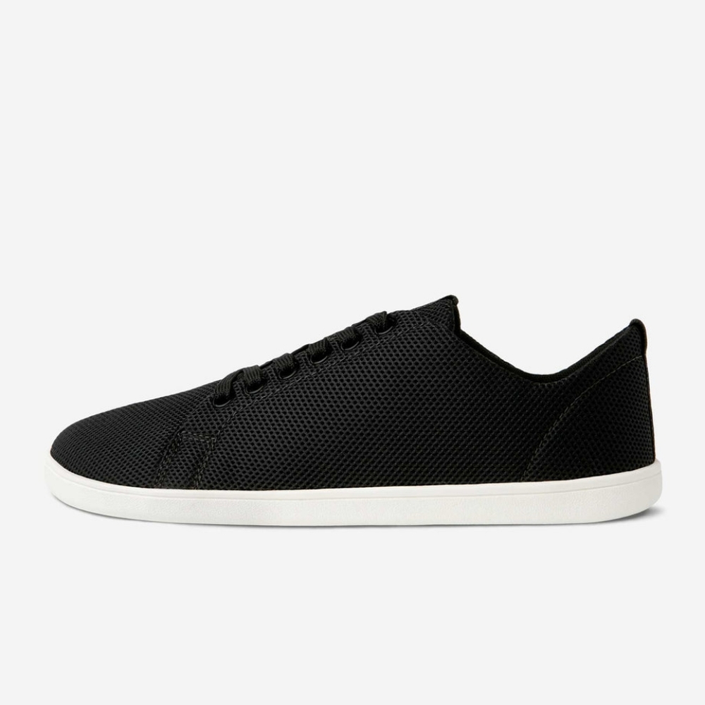 Feelgrounds Original Mesh